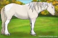 Horse Color:Smoky Creme Dun Tobiano