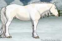 Horse Color:Cremello Dun Tobiano