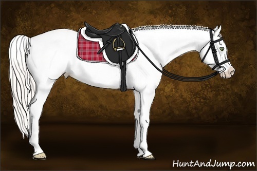 Horse Color:White Spotted Silver Sable Champagne Dun Splash Frame Appaloosa