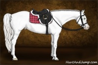 Horse Color:White Spotted Silver Sable Champagne Dun Splash Frame Appaloosa 