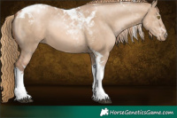 Horse Color:Liver Red Dun Pearl Tobiano