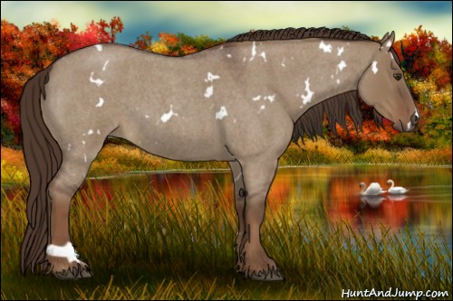 Horse Color:White Spotted Liver Red Dun Roan 