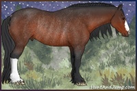 Horse Color:Brown Rabicano 