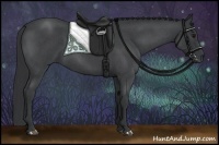 Horse Color:Blue Roan 