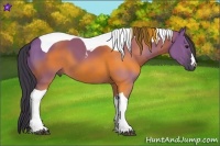 Horse Color:Smoky Grullo Tobiano