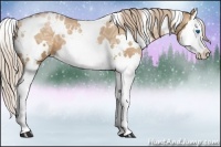 Horse Color:White Spotted Chestnut Ice Pearl Splash 