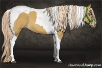 Horse Color:Palomino Tobiano 
