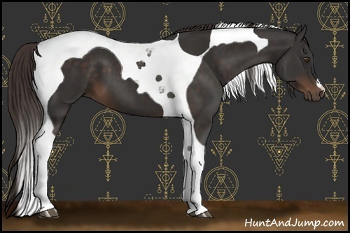 Horse Color:Liver Chestnut Tobiano 