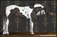 Horse Color:Liver Chestnut Tobiano 