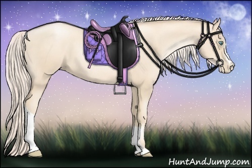 Horse Color:Gold Cream Champagne Pearl 