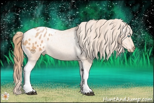 Horse Color:Bay Pearl Tobiano Varnish Rabicano
