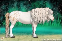 Horse Color:Bay Pearl Tobiano Appaloosa Rabicano