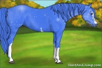 Horse Color:Watercolor White Spotted Liver Chestnut 