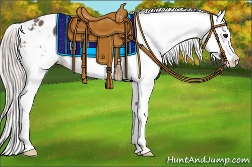 Horse Color:Silver Black Appaloosa 