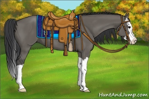 Horse Color:Grullo Sabino Splash 