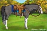 Horse Color:Grullo Sabino Splash