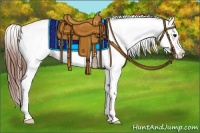Horse Color:Grullo Varnish