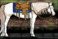 Horse Color:Smoky Black Pearl Splash Appaloosa