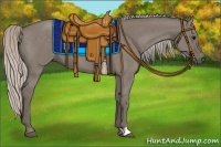 Horse Color:Silver Grullo 