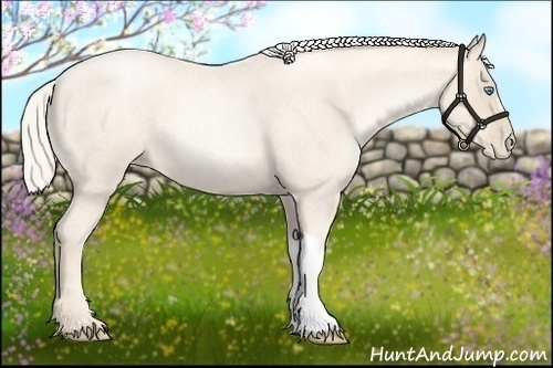 Horse Color:Gold Cream Champagne Roan Pearl 