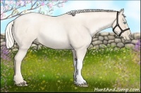 Horse Color:Gold Cream Champagne Roan Pearl