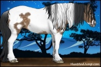 Horse Color:White Spotted Bay Dun Tobiano Frame