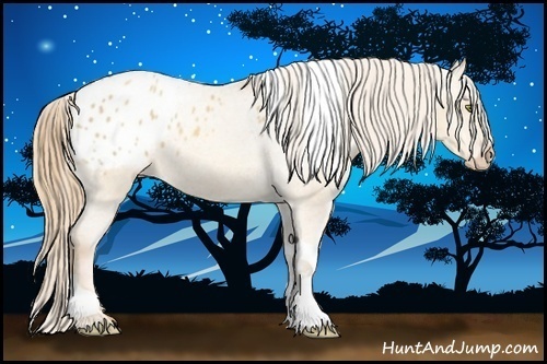 Horse Color:Gold Champagne Dun Tobiano Blanket