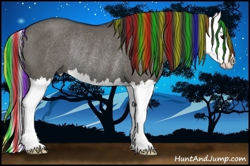 Horse Color:Painted Grullo Splash Rabicano 