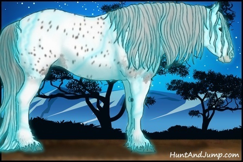 Horse Color:Thunderstruck Grullo Splash Blanket