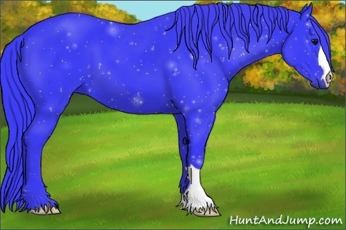 Horse Color:Watercolor Black 