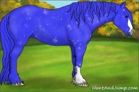 Horse Color:Watercolor Black 
