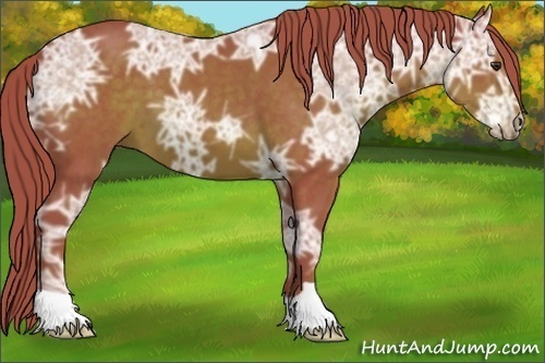 Horse Color:Watercolor Liver Chestnut Ice 