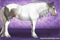 Horse Color:White Spotted Silver Black Tobiano 