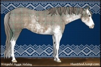 Horse Color:Plaid  Liver Chestnut Sabino Splash Appaloosa 
