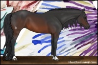 Horse Color:Brown 