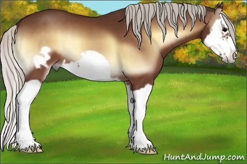 Horse Color:Silver Brown Onyx Splash Frame