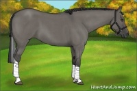 Horse Color:Grullo Roan Tobiano 