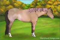 Horse Color:Amber Champagne 