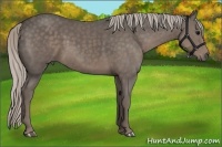 Horse Color:Silver Black 