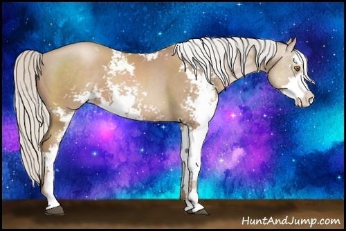 Horse Color:Silver Black Pearl Sabino