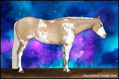 Horse Color:Silver Black Pearl Sabino