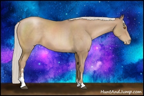 Horse Color:Silver Black Pearl Sabino 