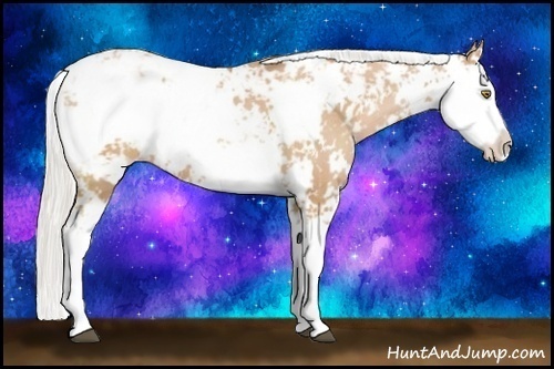 Horse Color:Silver Bay Pearl Sabino 