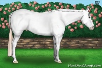 Horse Color:Liver Chestnut Sabino Frame Near Leopard Rabicano