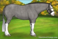 Horse Color:Grullo Roan Splash 