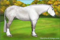 Horse Color:Gray Grullo 