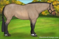 Horse Color:Bay Roan Dun Rabicano