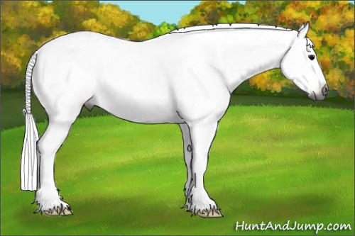 Horse Color:Gray Grullo Frame Rabicano 