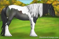 Horse Color:Black Tobiano 