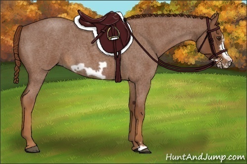 Horse Color:Red Roan Frame 